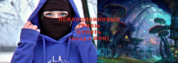 трава Верея