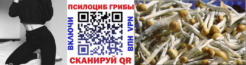 гидра ССЫЛКА  Ноябрьск  Галлюциногенные грибы Cubensis 